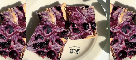 Raw Vegan Blueberry 'Cheesecake' Bites